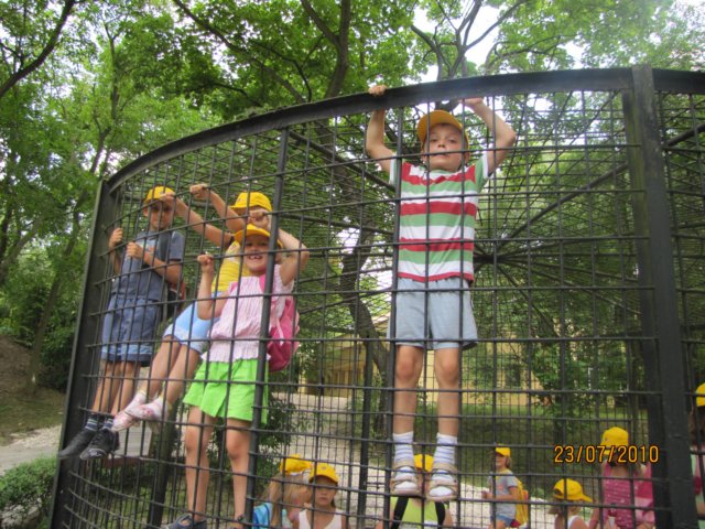 iiturnuszoo.jpg